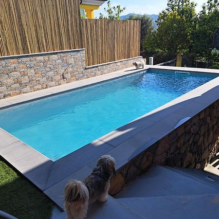 La Fontanella Apartment Polverara Dış mekan fotoğraf