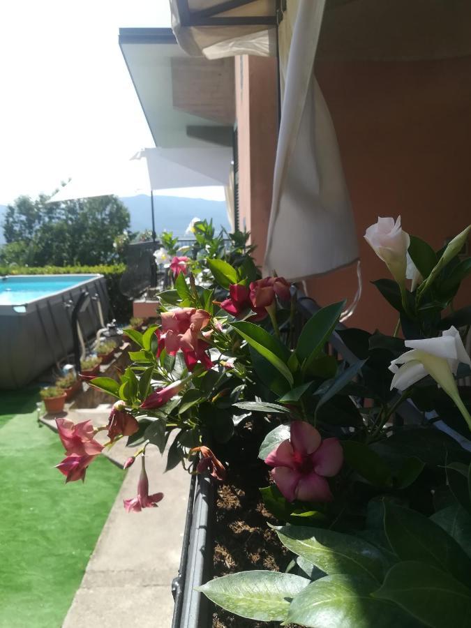 La Fontanella Apartment Polverara Dış mekan fotoğraf