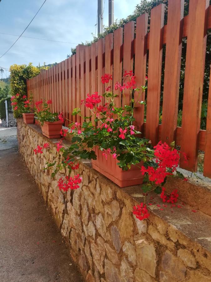 La Fontanella Apartment Polverara Dış mekan fotoğraf